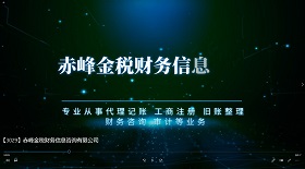 赤峰金稅財務(wù)信息咨詢